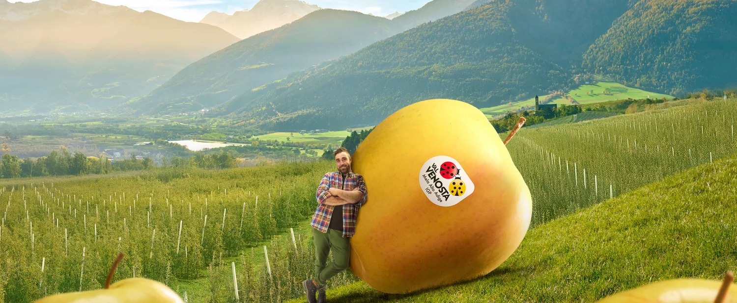 خلفية شركة عطر الحرمين