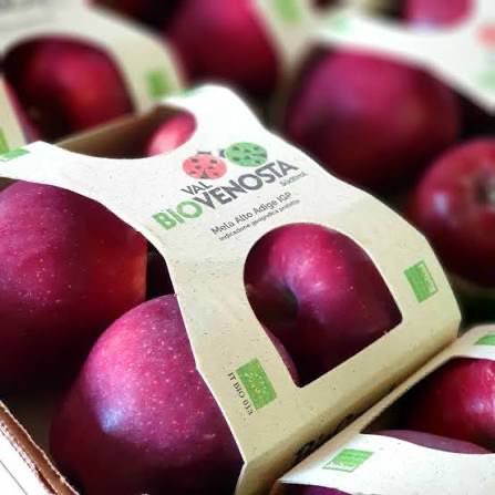 منتجات غذائية